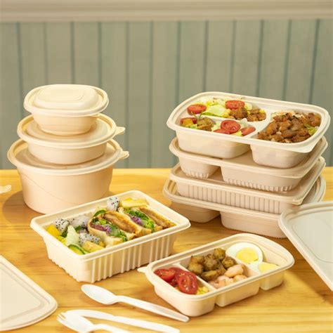 eco friendly disposable lunch boxes